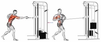 Cable Twisting Standing Row