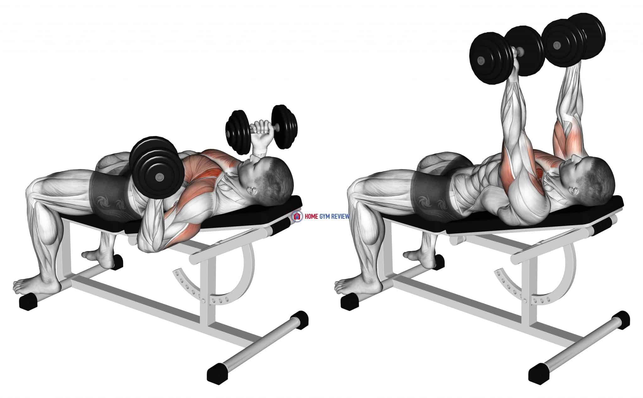 Chest Bench Press Workout At James Mccauley Blog