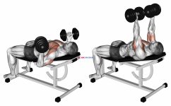Dumbbell Incline reverse-grip 30 degrees bench press