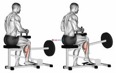 Lever seated one leg calf raise