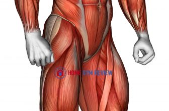Body muscle male SIDE FRONT view