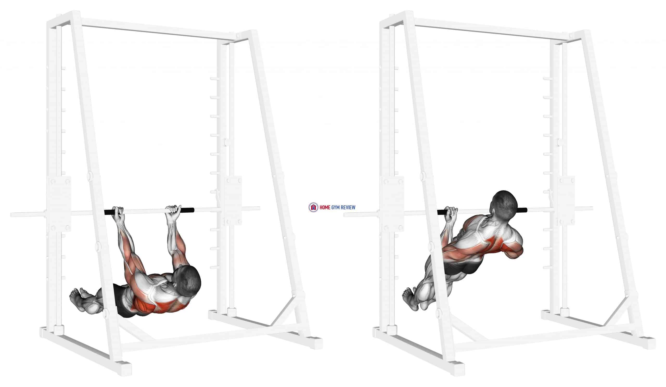 Pull Up Inverted Grip At Bertha Arrington Blog