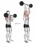 EZ-Bar Standing Overhead Press