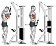 Cable Standing One Arm Tricep Pushdown (Overhand Grip)