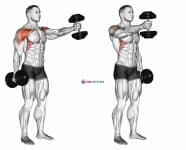 Dumbbell Standing Alternate Vertical Front Raises