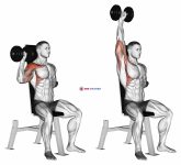 Dumbbell Seated One Arm Shoulder Press