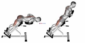 Plate Hyperextension