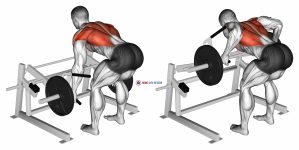 Lever Row (plate loaded)