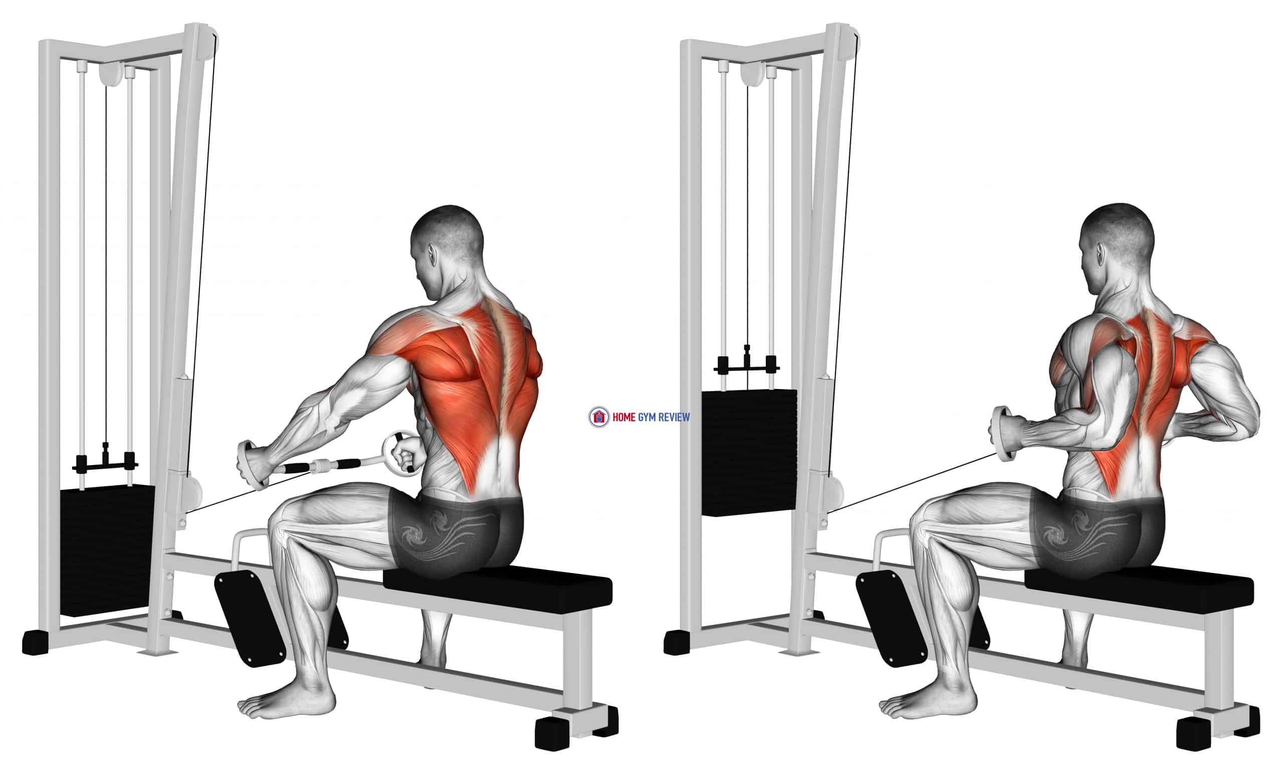 Cable Seated Row Bent Bar Home Gym Review Cable Seated Row Bent Bar Home Gym Review