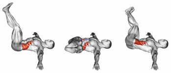 Wipers (straight leg)