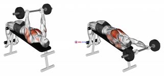 Barbell Decline Pullover