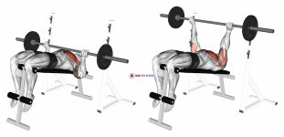 Barbell Reverse Grip Decline Bench Press