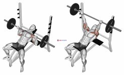 Barbell Reverse Grip Incline Bench Press