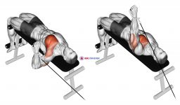 Cable Decline One Arm Press