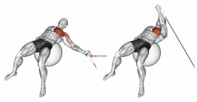 Cable One Arm Fly on Exercise Ball