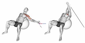 Cable One Arm Incline Fly on Exercise Ball