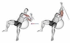 Cable One Arm Incline Press on Exercise Ball