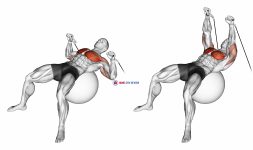 Cable Press on Exercise Ball
