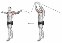 Cable Upper Chest Crossovers