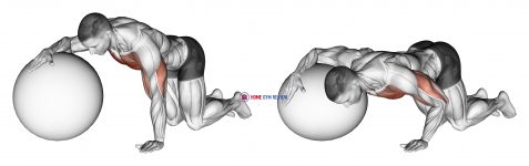 Chest Stretch with Exercise Ball