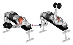 Dumbbell Decline One Arm Fly