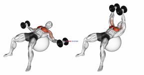 Dumbbell Fly on Exercise Ball