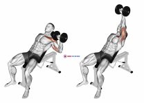 Dumbbell Incline One Arm Press