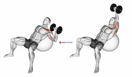 Dumbbell Incline One Arm Press on Exercise Ball