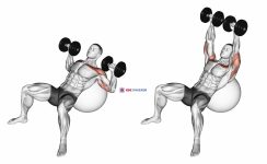 Dumbbell Incline Press on Exercise Ball
