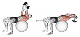 Dumbbell Lying Pullover on Exercise Ball