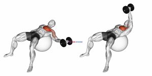Dumbbell One Arm Chest Fly on Exercise Ball