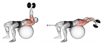 Dumbbell One Arm Pullover on Exercise Ball