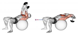 Dumbbell Pullover on Exercise Ball