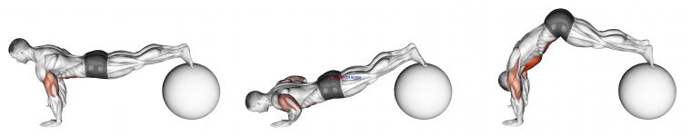 Exercise Ball Pike Push up