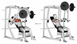 Lever Decline Chest Press