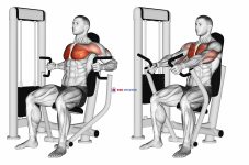 Machine Inner Chest Press