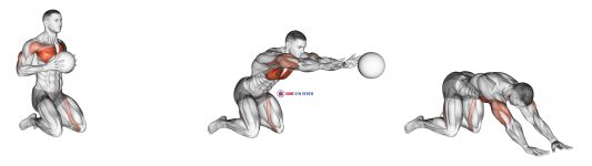 Medicine Ball Chest Push Multiple Response