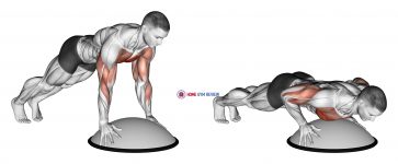 Push Up on Bosu Ball