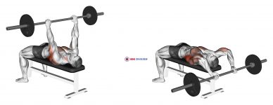 Barbell Bent Arm Pullover