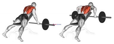 Barbell Reverse Grip Incline Bench Row