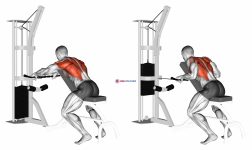 Cable Incline Bench Row