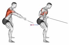 Cable Palm Rotational Row