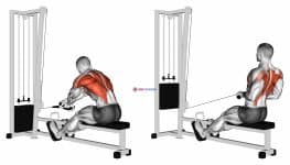 Cable Rope Crossover Seated Row