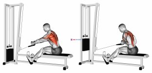 Cable Rope Elevated Seated Row