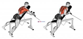 Cable Rope Extension Incline Bench Row