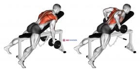 Dumbbell Lying Rear Delt Row