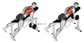 Dumbbell Reverse Grip Incline Bench One Arm Row