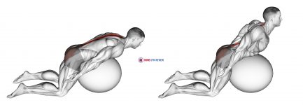 Exercise Ball Back Extension With Arms Extended