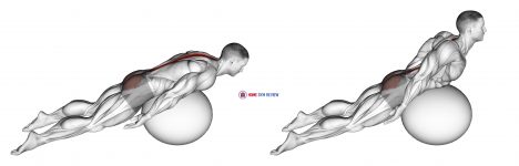 Exercise Ball Back Extension With Knees Off Ground
