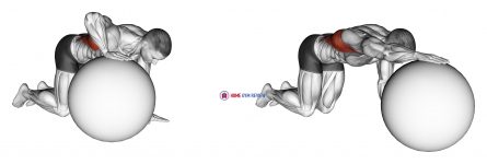 Exercise Ball Lat Stretch